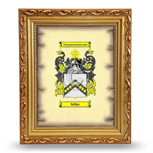 Sefan Coat of Arms Framed - Gold