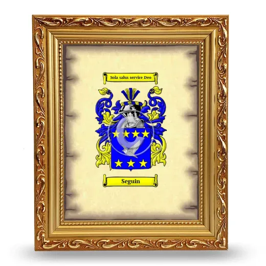 Seguin Coat of Arms Framed - Gold