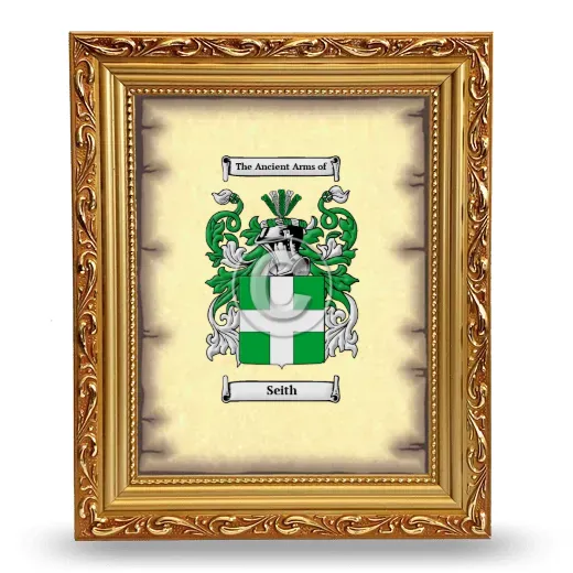 Seith Coat of Arms Framed - Gold