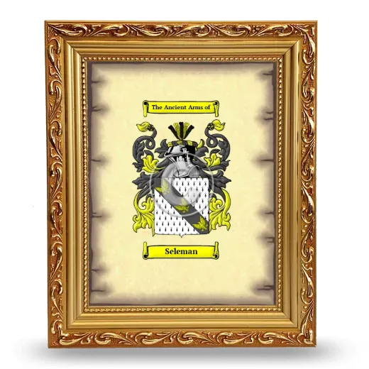 Seleman Coat of Arms Framed - Gold