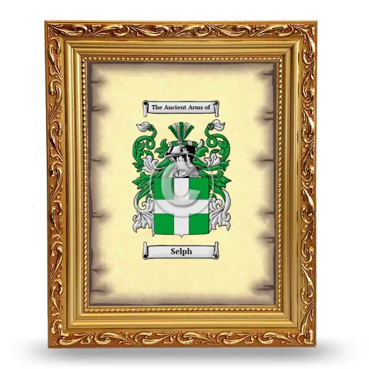 Selph Coat of Arms Framed - Gold