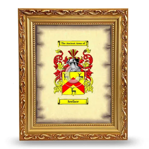 Serface Coat of Arms Framed - Gold