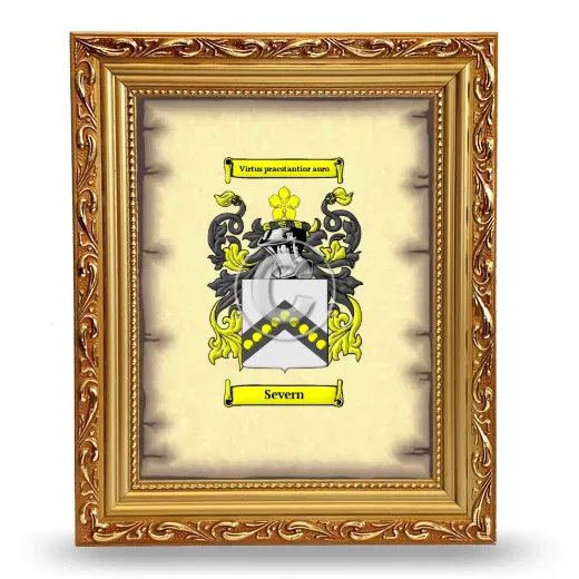 Severn Coat of Arms Framed - Gold