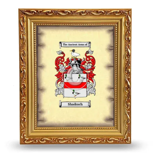Shadrach Coat of Arms Framed - Gold