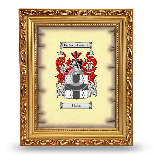 Shain Coat of Arms Framed - Gold
