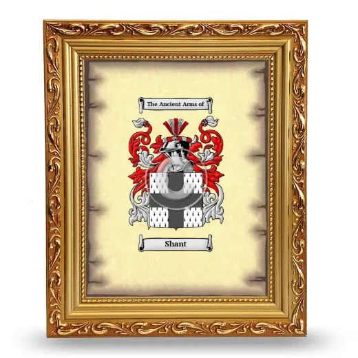 Shant Coat of Arms Framed - Gold