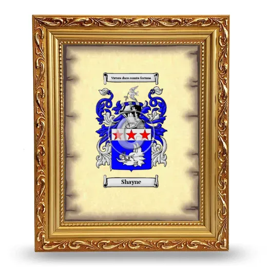Shayne Coat of Arms Framed - Gold
