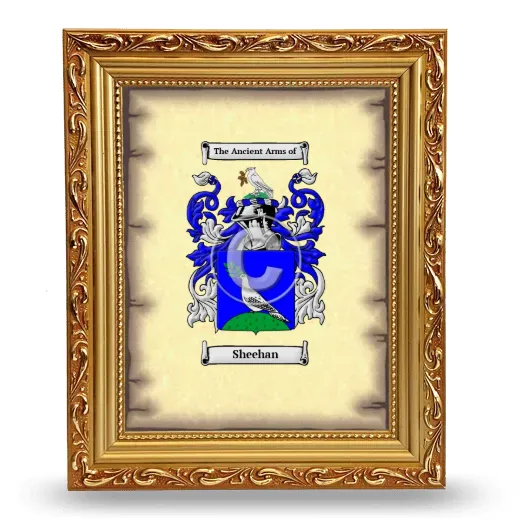 Sheehan Coat of Arms Framed - Gold