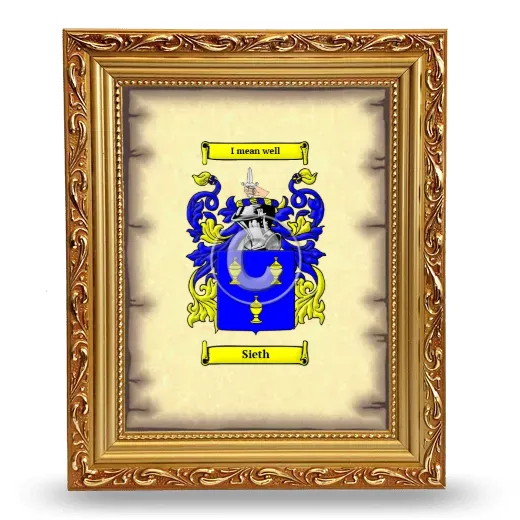 Sieth Coat of Arms Framed - Gold