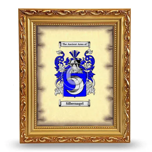 Silbernagel Coat of Arms Framed - Gold