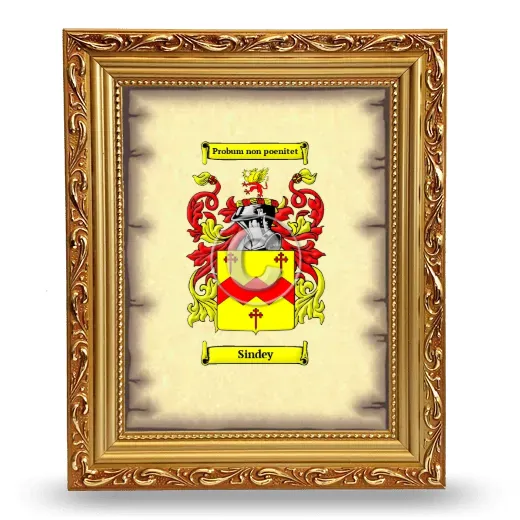 Sindey Coat of Arms Framed - Gold