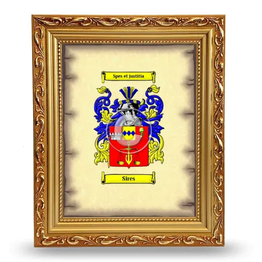 Sires Coat of Arms Framed - Gold