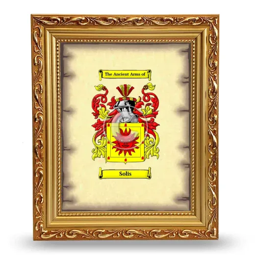 Solis Coat of Arms Framed - Gold