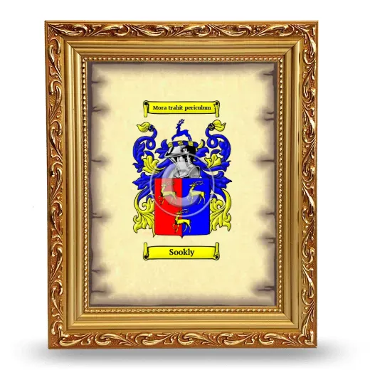 Sookly Coat of Arms Framed - Gold