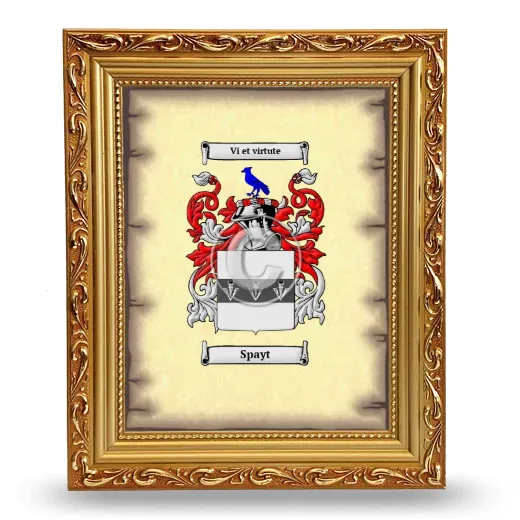 Spayt Coat of Arms Framed - Gold