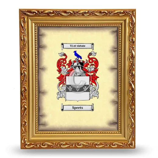 Speets Coat of Arms Framed - Gold