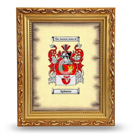 Spinoza Coat of Arms Framed - Gold