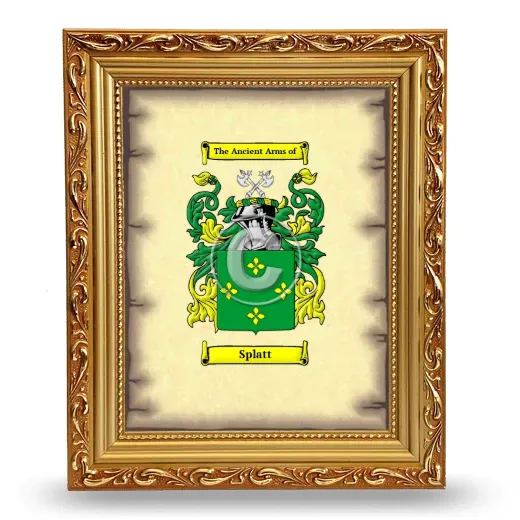 Splatt Coat of Arms Framed - Gold