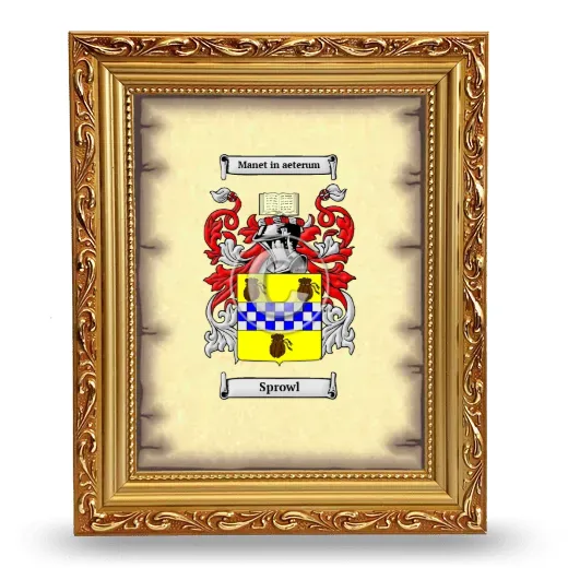 Sprowl Coat of Arms Framed - Gold