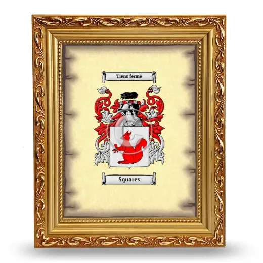 Squares Coat of Arms Framed - Gold
