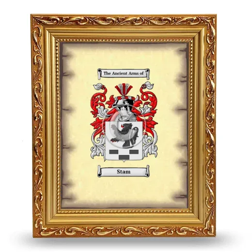 Stam Coat of Arms Framed - Gold