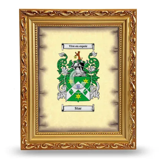 Star Coat of Arms Framed - Gold