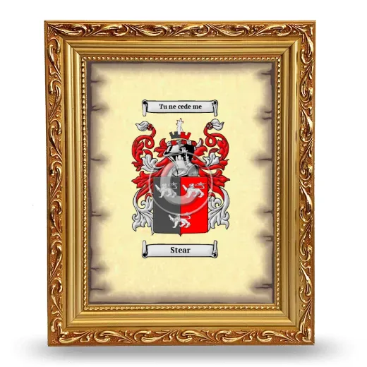 Stear Coat of Arms Framed - Gold