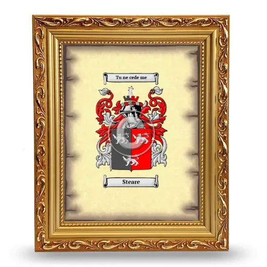 Steare Coat of Arms Framed - Gold