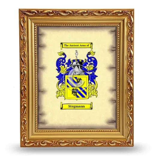 Stegmann Coat of Arms Framed - Gold