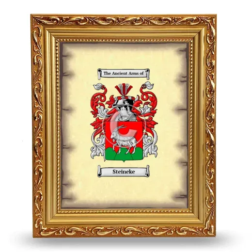 Steineke Coat of Arms Framed - Gold