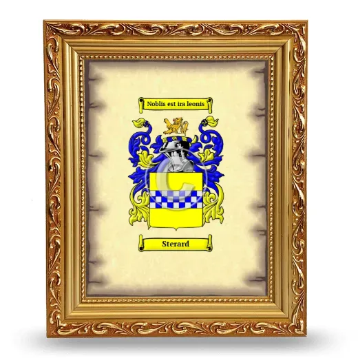 Sterard Coat of Arms Framed - Gold