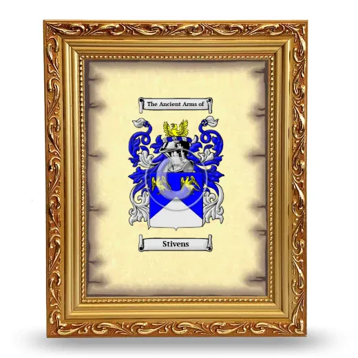 Stivens Coat of Arms Framed - Gold