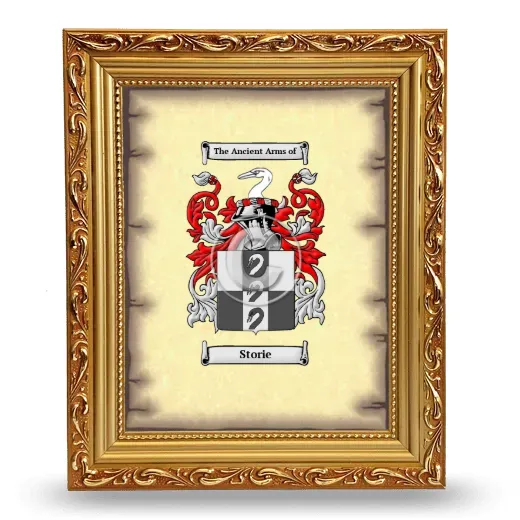 Storie Coat of Arms Framed - Gold