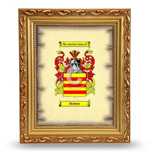 Stower Coat of Arms Framed - Gold