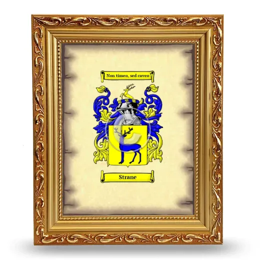 Strane Coat of Arms Framed - Gold