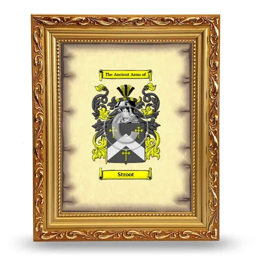 Stroot Coat of Arms Framed - Gold
