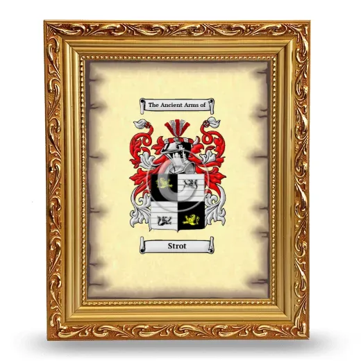 Strot Coat of Arms Framed - Gold