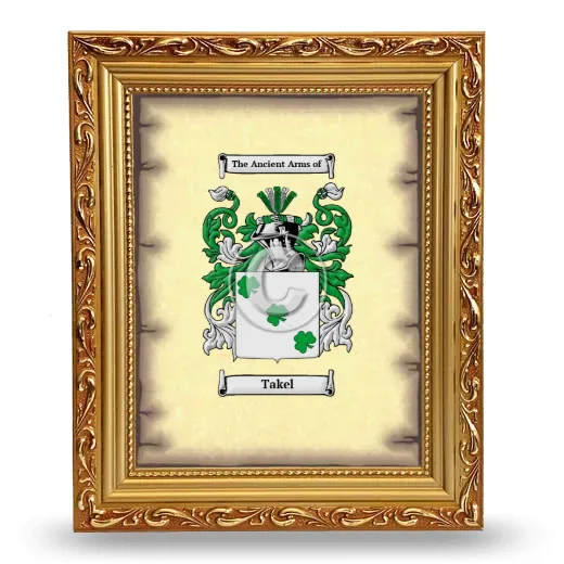 Takel Coat of Arms Framed - Gold