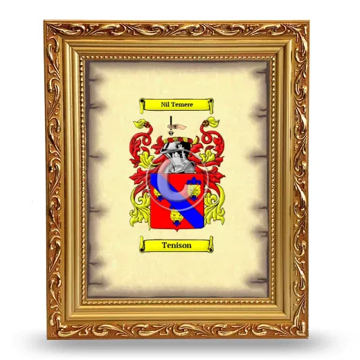 Tenison Coat of Arms Framed - Gold