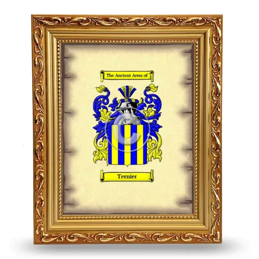Ternier Coat of Arms Framed - Gold
