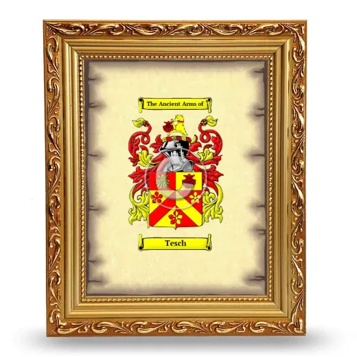 Tesch Coat of Arms Framed - Gold