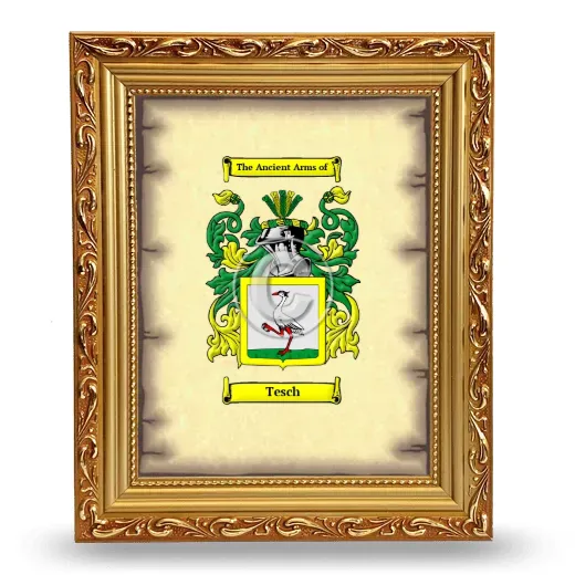 Tesch Coat of Arms Framed - Gold