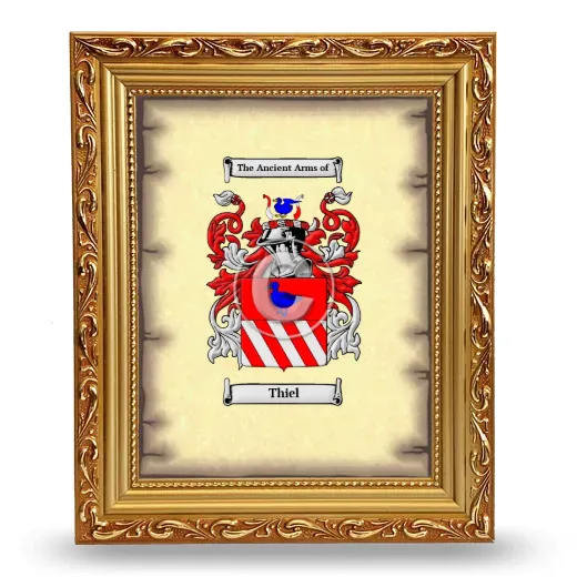 Thiel Coat of Arms Framed - Gold