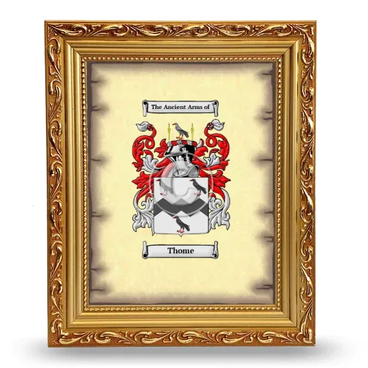 Thome Coat of Arms Framed - Gold
