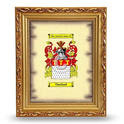 Thorland Coat of Arms Framed - Gold