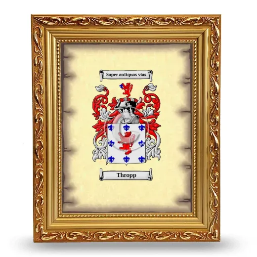 Thropp Coat of Arms Framed - Gold