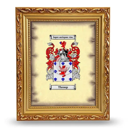 Throup Coat of Arms Framed - Gold