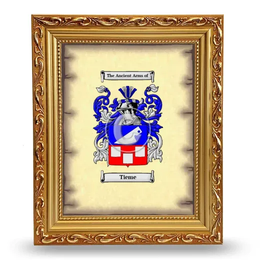 Tieme Coat of Arms Framed - Gold
