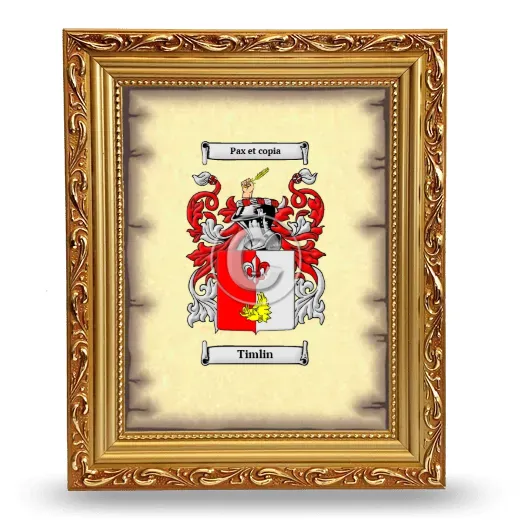 Timlin Coat of Arms Framed - Gold