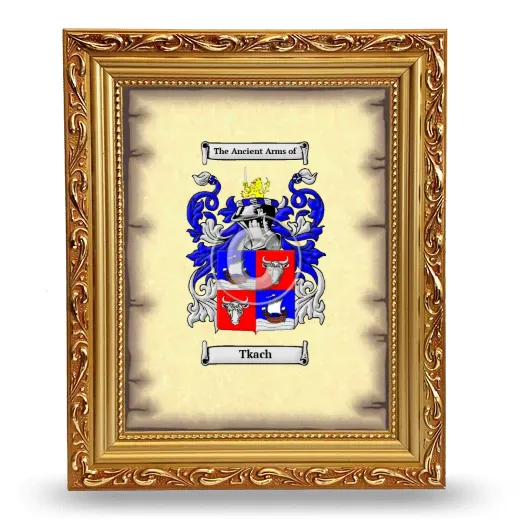 Tkach Coat of Arms Framed - Gold